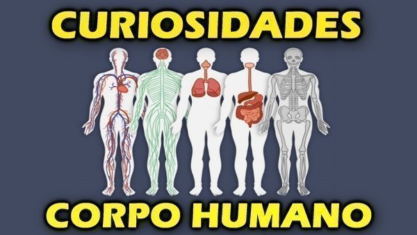 13 curiosidades sobre o corpo humano Buscar Saúde