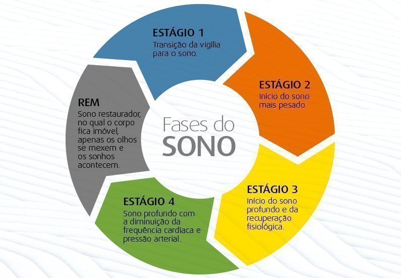 Fases Do Sono Quais São E Como Entender Buscar Saúde