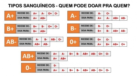 Tipos sanguíneos Sangue dourado é o mais raro Buscar Saúde