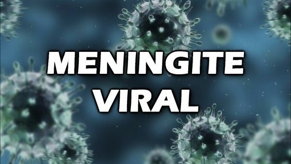 Meningite Viral Causas Sintomas E Tratamento Buscar Saúde 7707